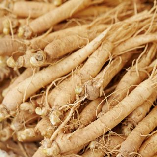 Extract din rădăcină de ginseng