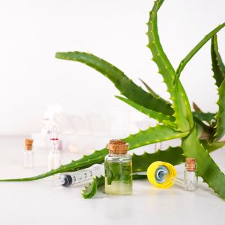 Extract de rădăcină de urzică